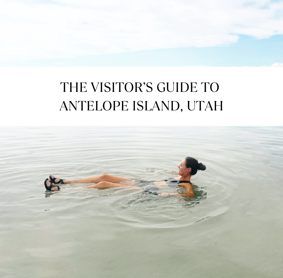 The Visitor’s Guide to Antelope Island, Utah