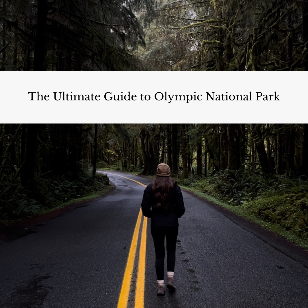 The Ultimate Guide to Olympic National Park