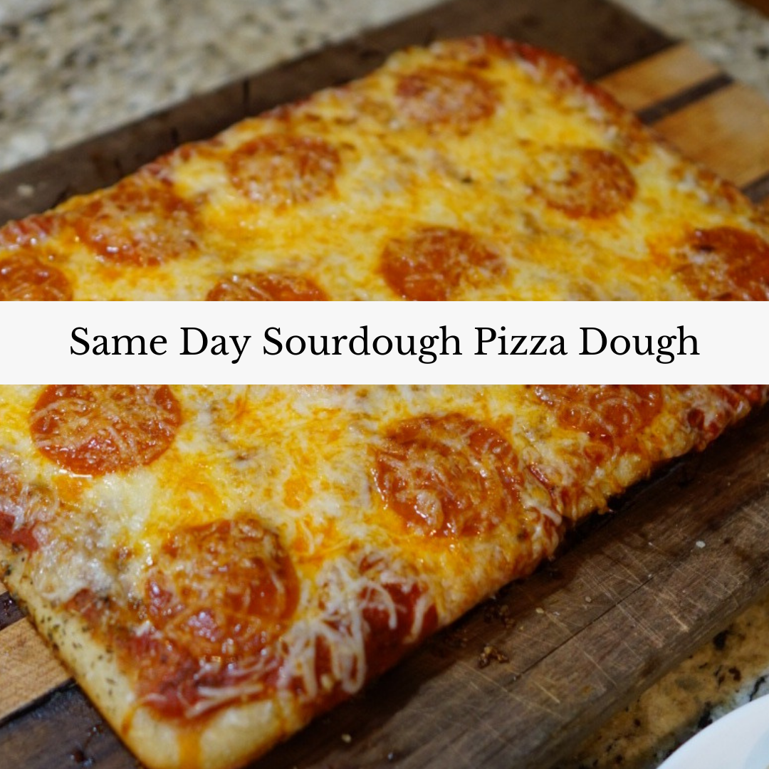 Easy Same Day Sourdough Pizza Dough Recipe